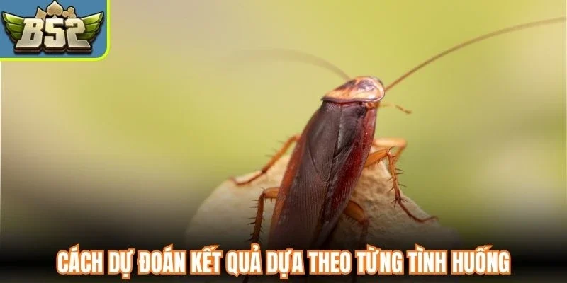 Cách dự đoán kết quả dựa theo từng tình huống