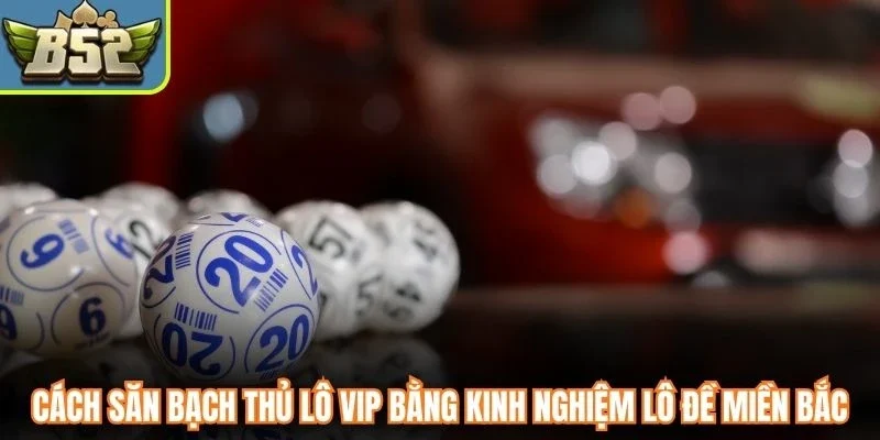 Cách săn bạch thủ lô vip bằng kinh nghiệm lô đề miền Bắc