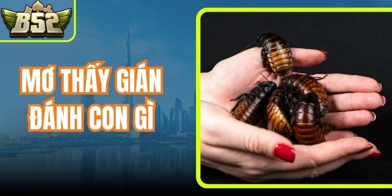 Mơ Thấy Gián Đánh Con Gì - Cách Soi Kết Quả Từ Tiểu Cường